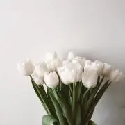N.