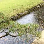 ヒカルの画像