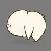 ぷあの画像