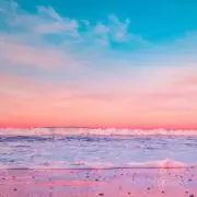 紫音の画像