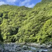 RAR.rの画像