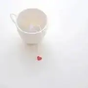 テンの画像