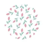 あんこの画像