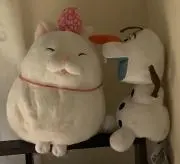 SARAの画像