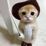はま