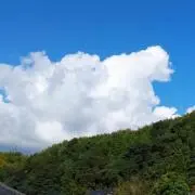 じんの画像