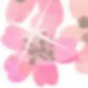 とみこ ※値下げ交渉OK！プロフ確認を！の画像
