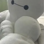 bayの画像
