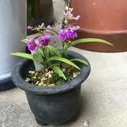 まこっと⭐️の画像