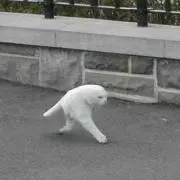 ゆうの画像
