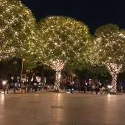 みーこ　プロフご確認くださいの画像