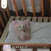 ミミの画像