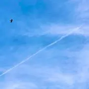 空