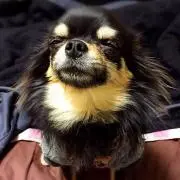 みお