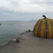 太郎の画像