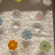 チヨコの画像
