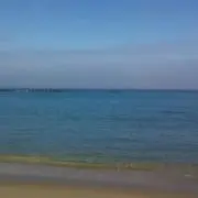 イチ虎一