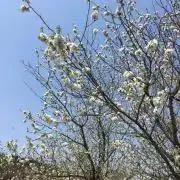 あさみの画像