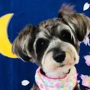 ムラッチ