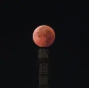 葉月の画像