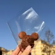 ぽんの画像