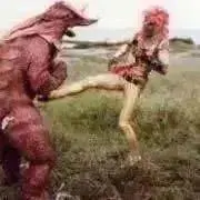 ビタミンEの画像