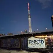 yuseiの画像