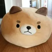 kosmaの画像