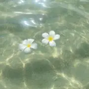 うるの画像