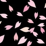 さくちゃーの画像