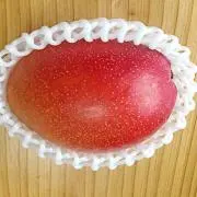 アッキーの画像