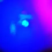 Bianca Chandon LOVERパーカー XL 野村訓市着 - メルカリ