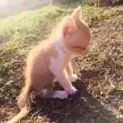 優の画像