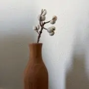 ちこの画像