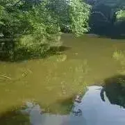taikiの画像