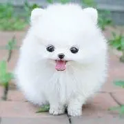 さき