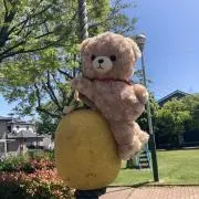 assoの画像
