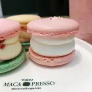 yの画像