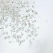 ミョン