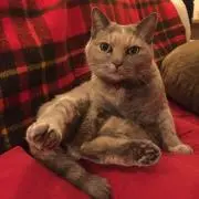 もりなの画像