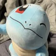 KTの画像