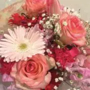 結芽の画像
