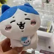 のんちゃんの画像