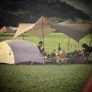 パシャ