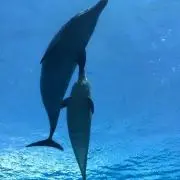 ふみやん’s夢みてがんばるショップ