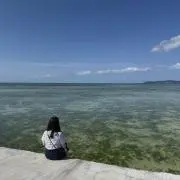 いちこの画像
