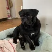 【1児mama】りとの画像
