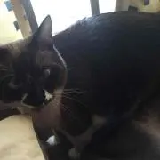 かめたろ！