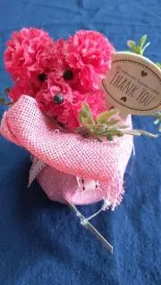 ハピネスの画像