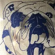 なぽ※休止中